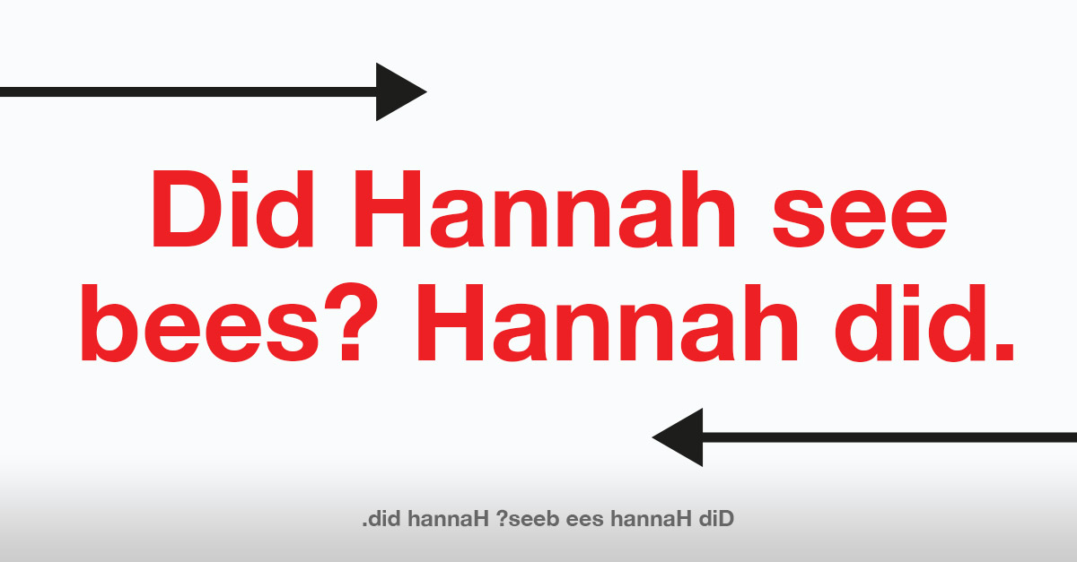 Did Hannah see bees? Hannah did. - Palindrome Sentence