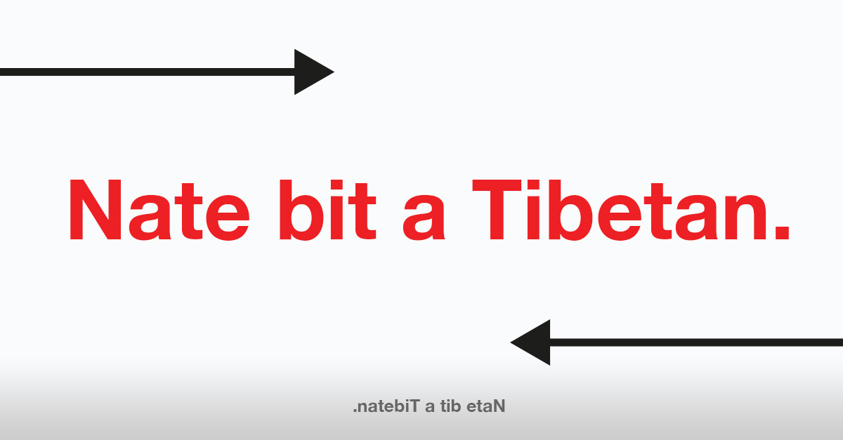 Nate bit a Tibetan. - Palindrome Sentence