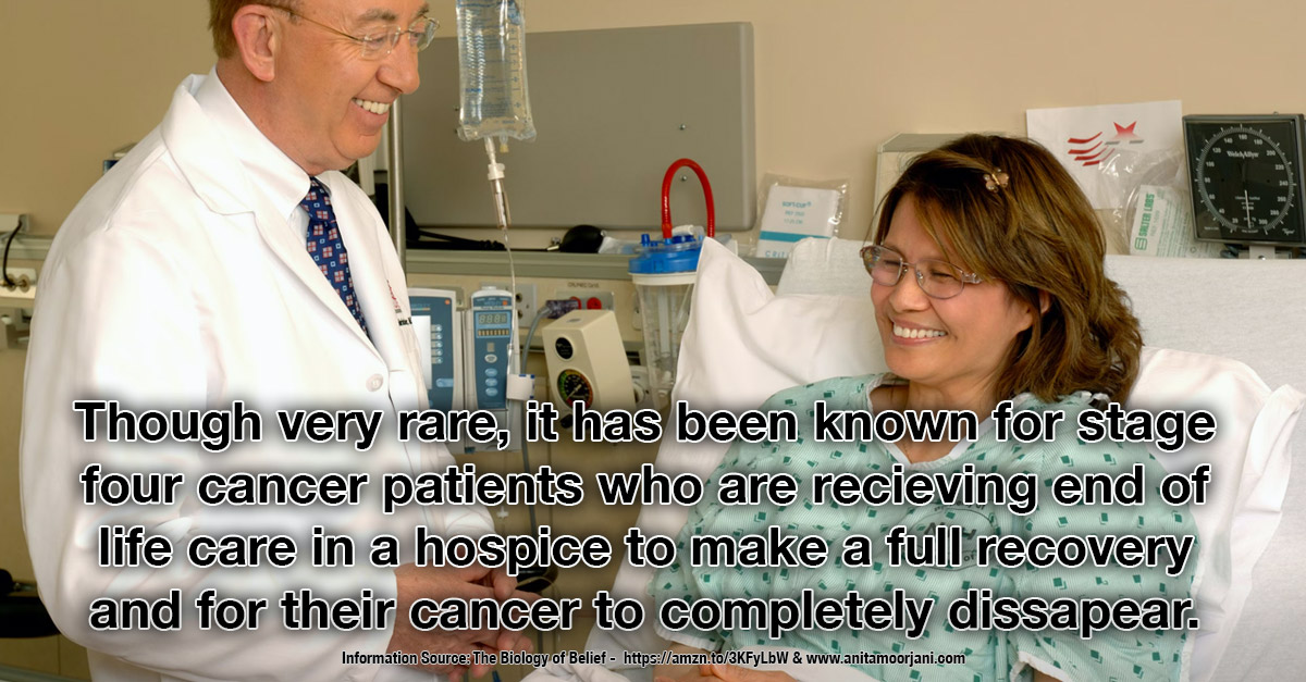 We can recover from stage four cancer - Our Amazing Bodies