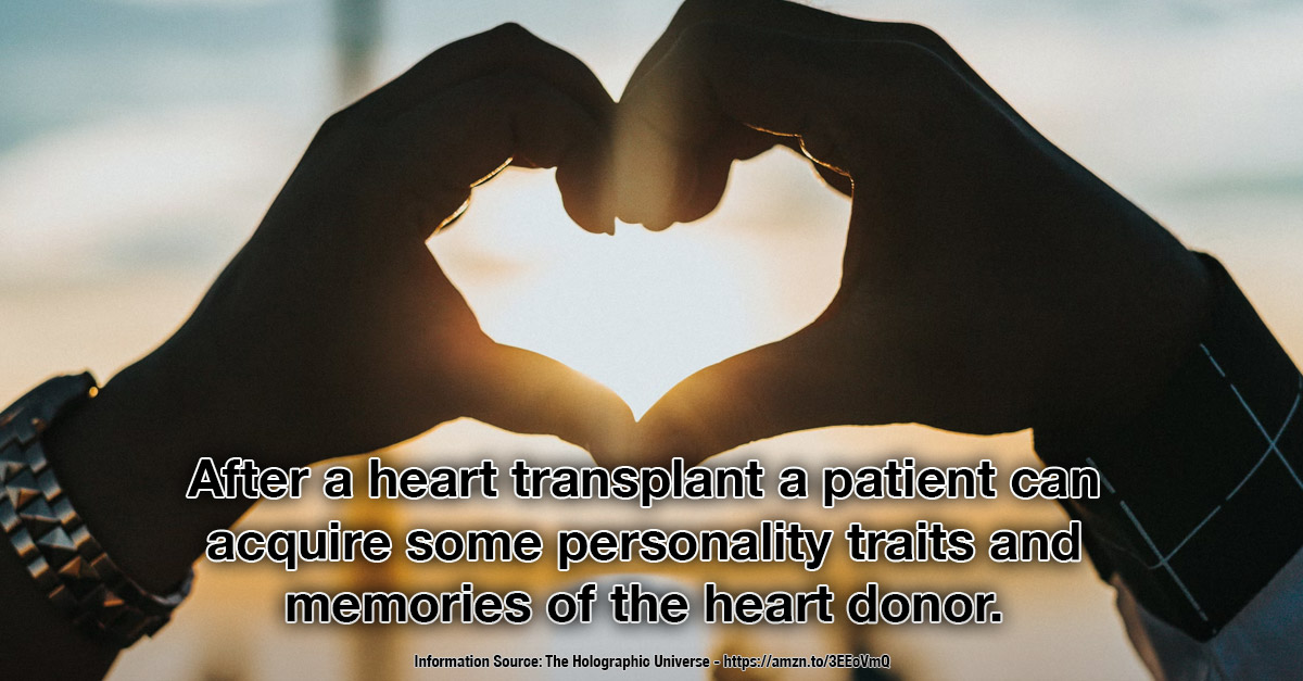 Heart Transplants can change our personality - Our Amazing Bodies