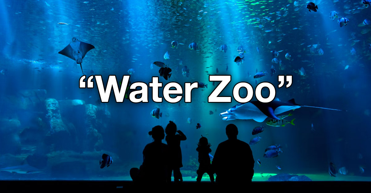 Aquarium is now called a Water Zoo - New Names By Kids