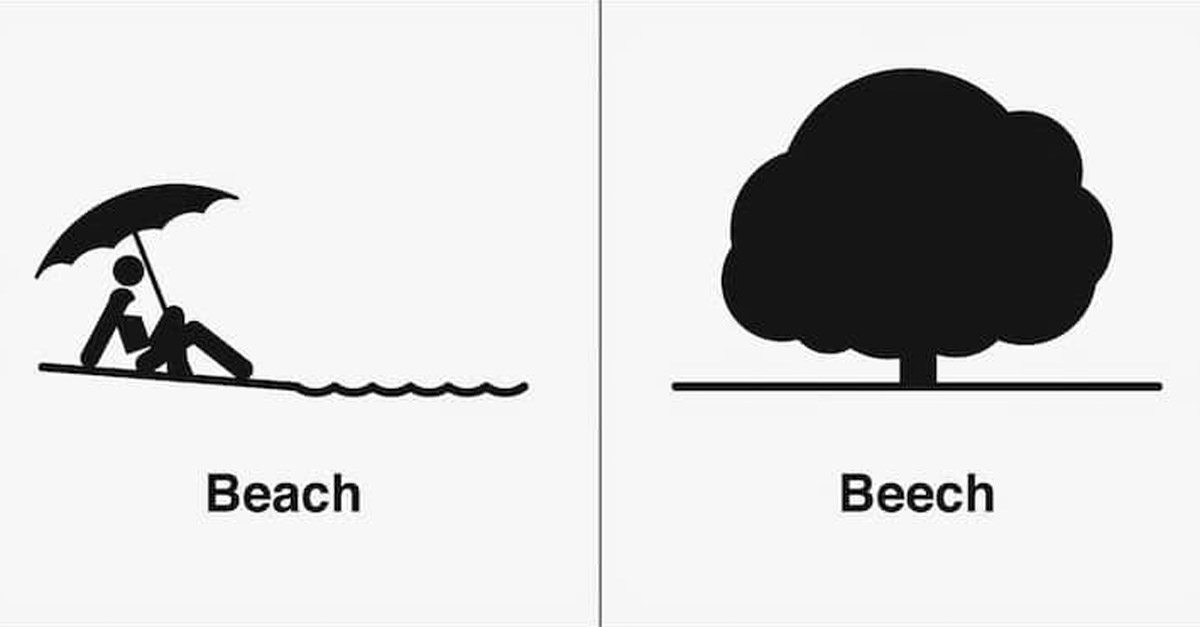 Beach and Beech Homophone