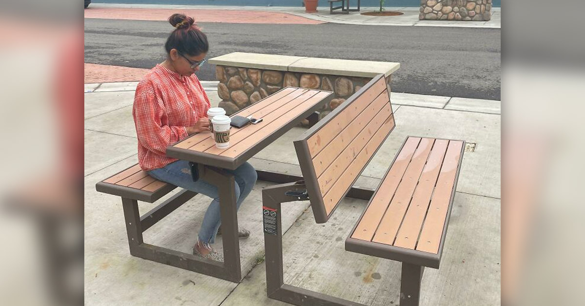 Bench or Chair Design