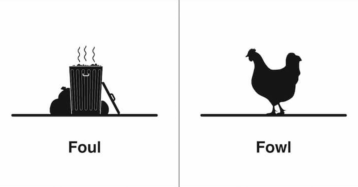 Foul and Fowl Homophone