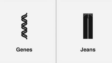 Genes and Jeans Homophone
