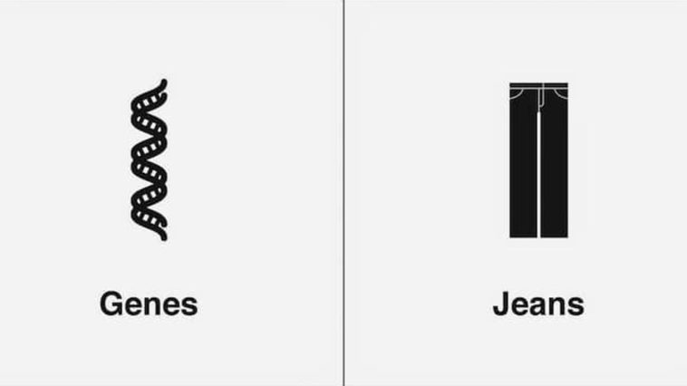 Genes and Jeans Homophone