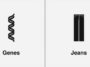 Genes and Jeans Homophone