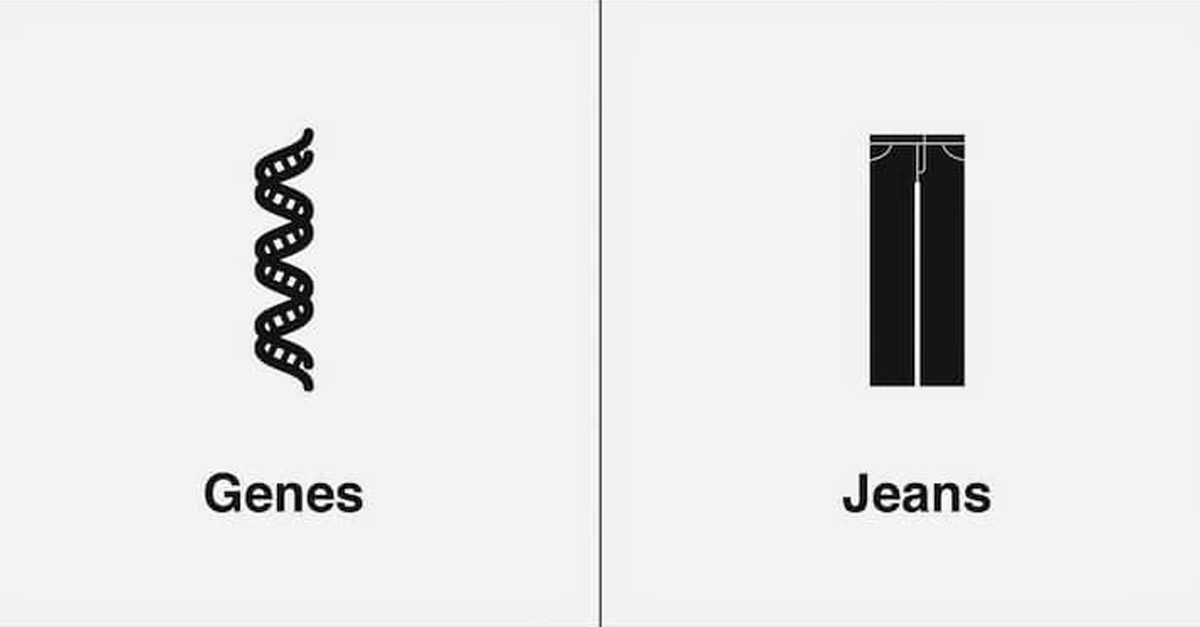 Genes and Jeans Homophone