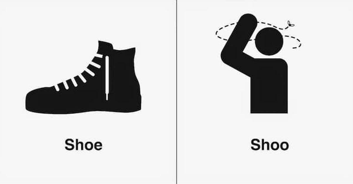 Shoe and Shoo Homophone