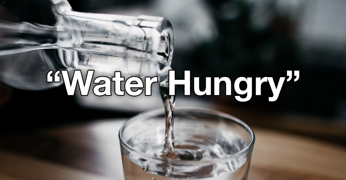 Thirsty is now called Water Hungry - New Names By Kids