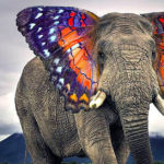 Butterphant - Amazing Hybrid Animal