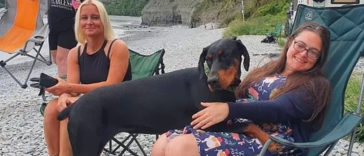 A dog sniffs out a kidney donor