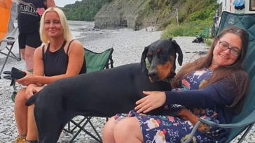 A dog sniffs out a kidney donor