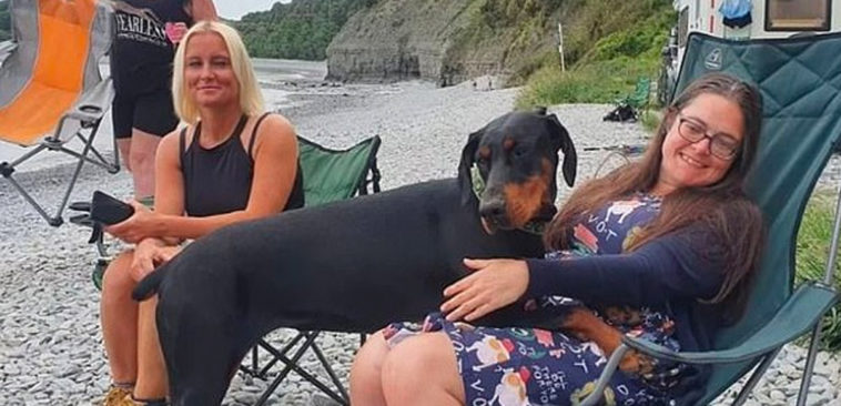 A dog sniffs out a kidney donor