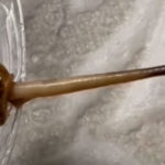 A Snail Bridging A Gap