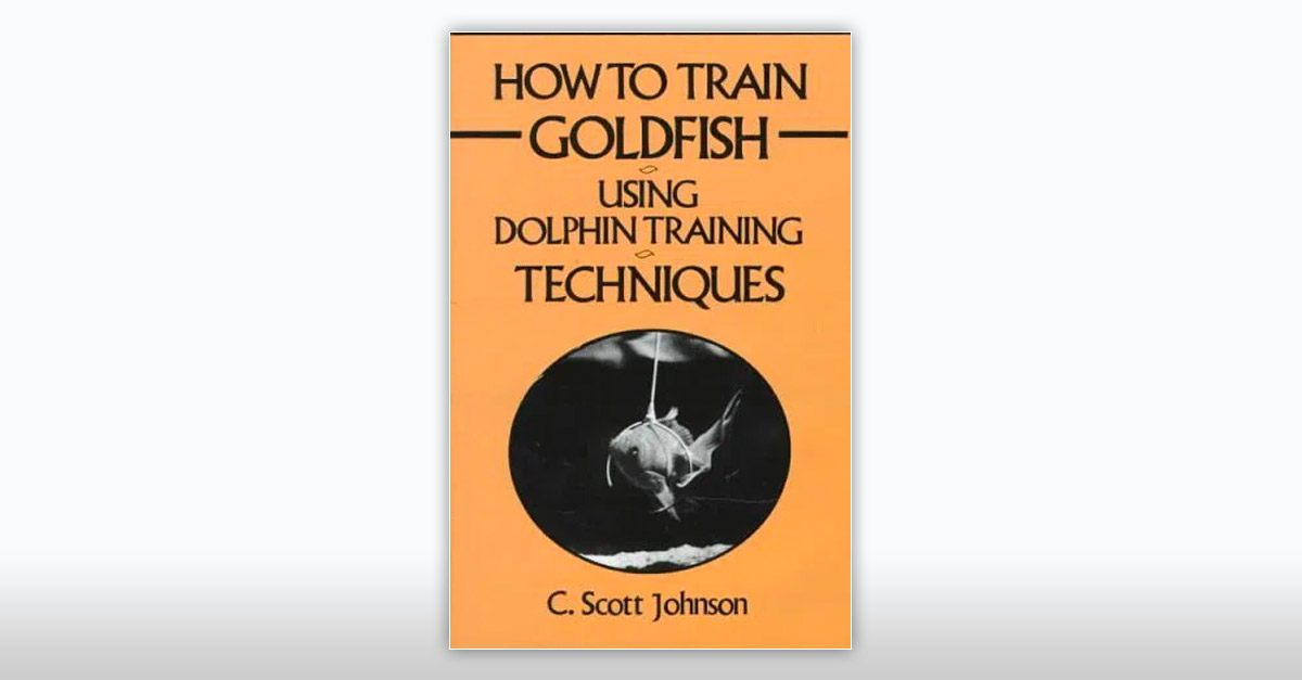 How To Train Goldfish Funny Book Titles R Amazing