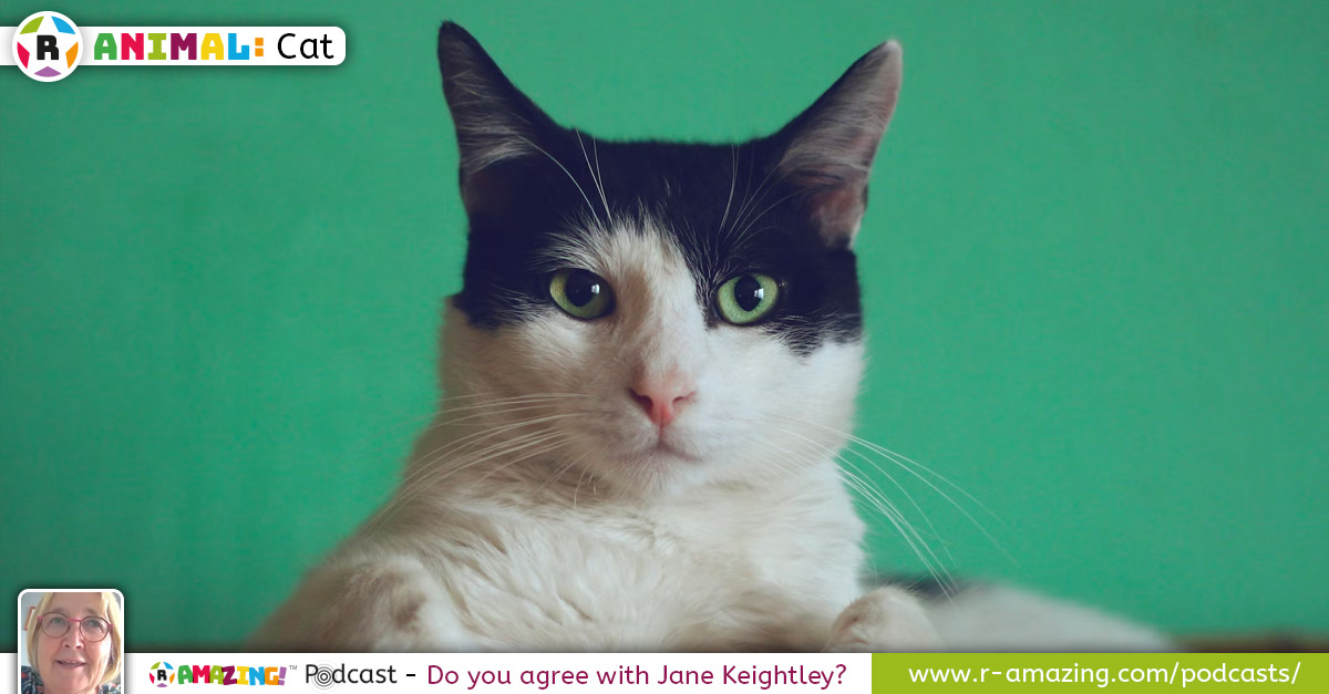 Jane Keightley's Most Amazing Animal