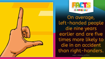 Left Handed People Lose Out