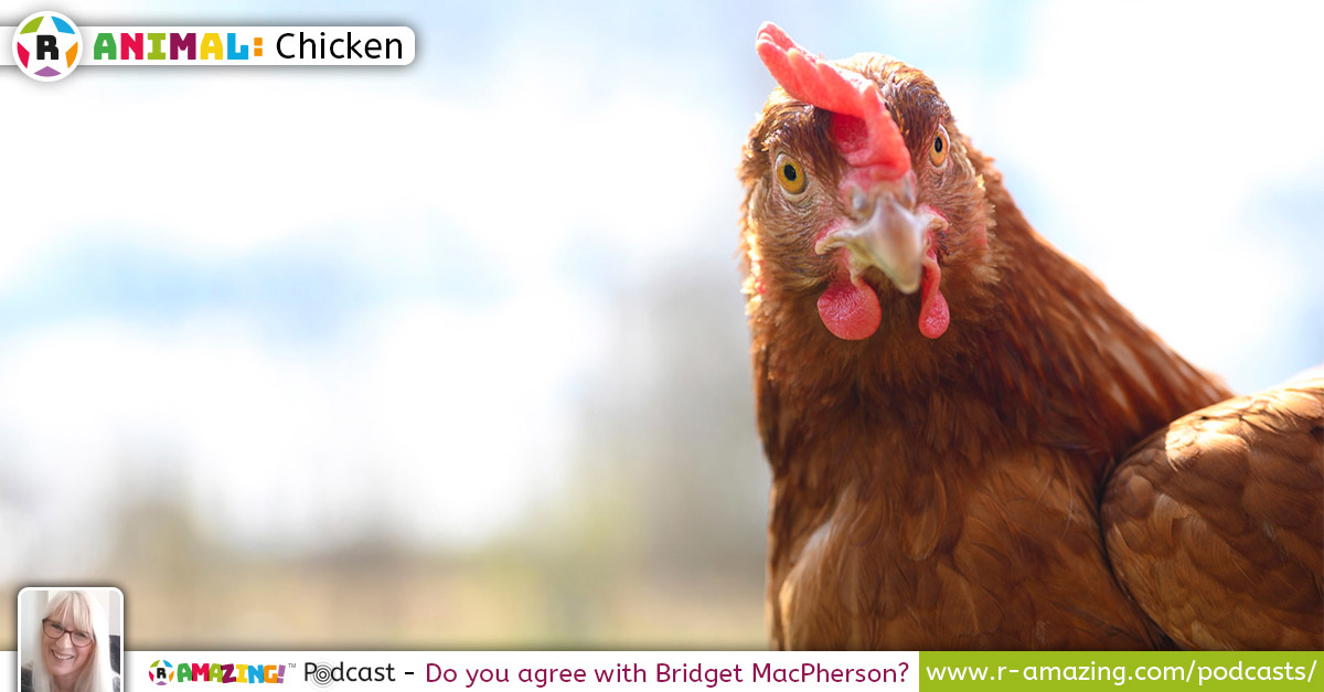 Bridget MacPherson’s Most Amazing Animal