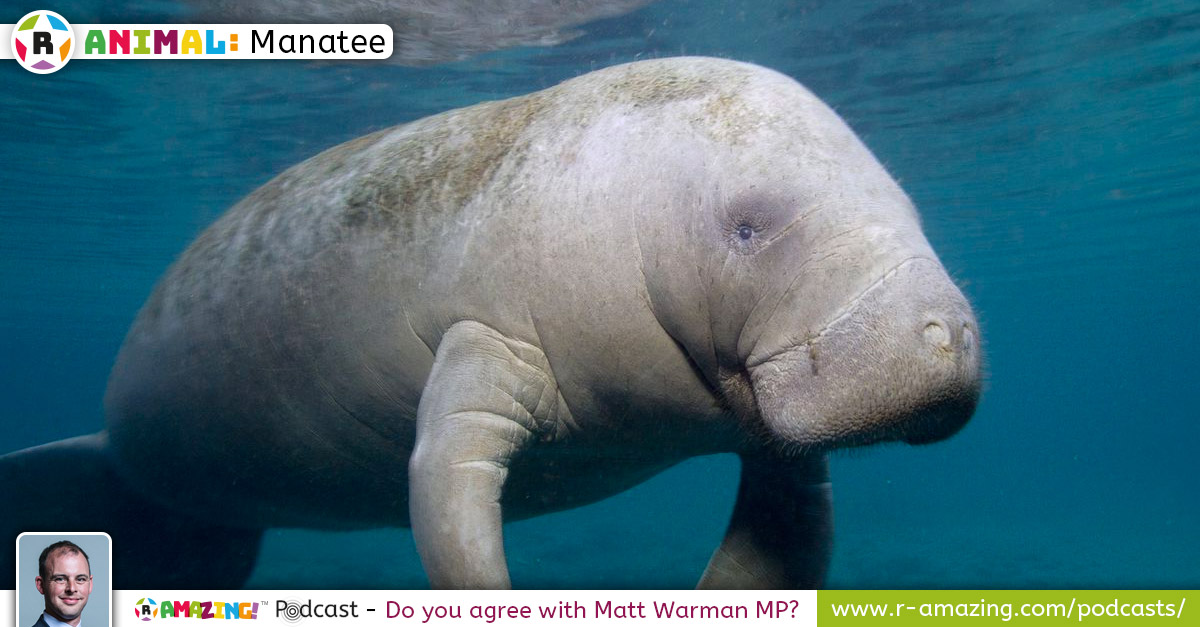 Matt Warman's Most Amazing Animal